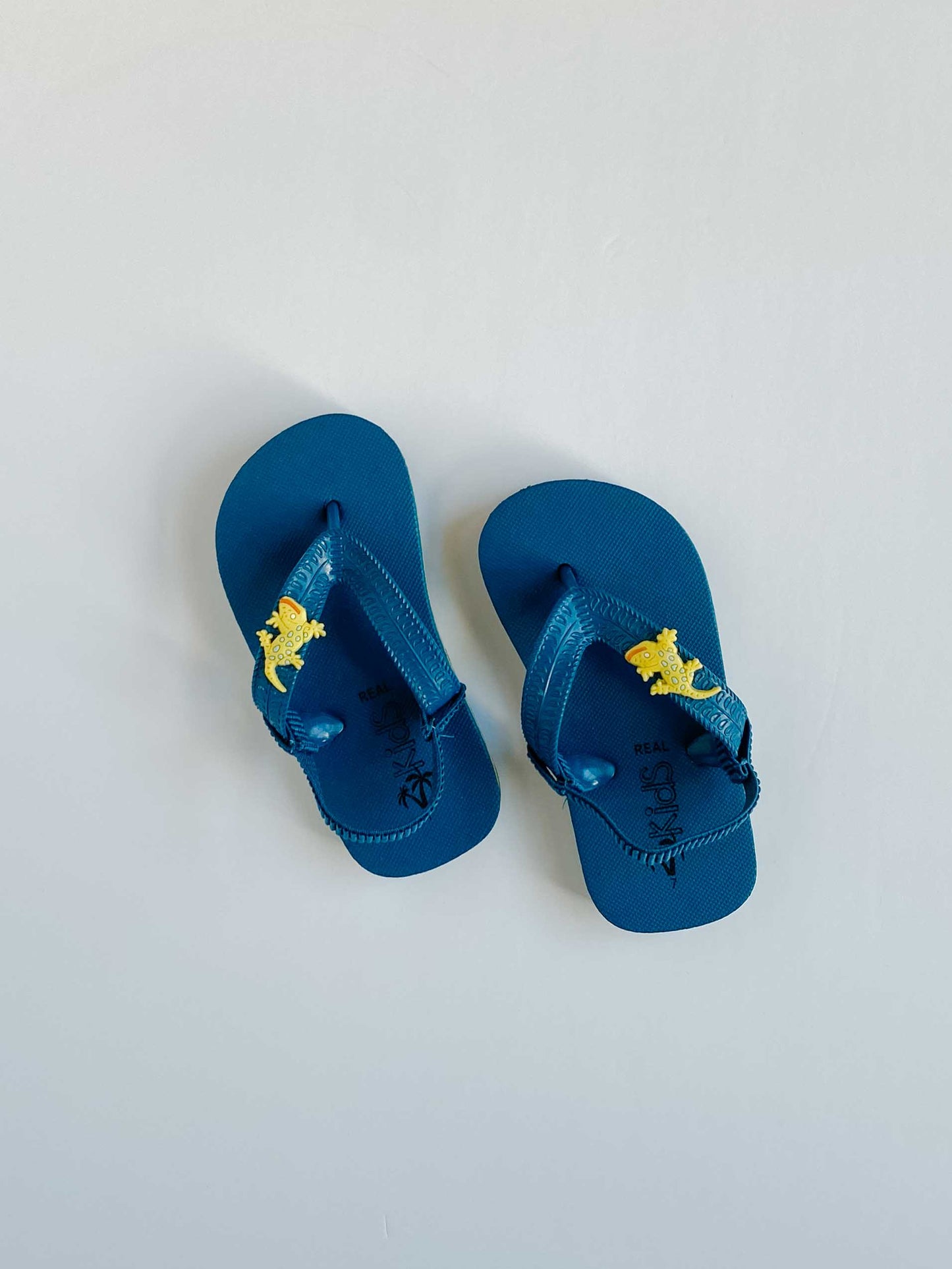 Dino Surf & Splash Bundle [2-3y]